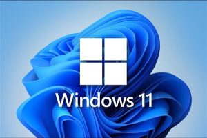 Windows11轻松设置工具_V1.0-蛙言网