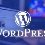 WordPress图片格式自动转换为WebP插件-蛙言网