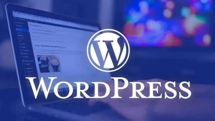 解决 WordPress 开启 cdn 后不能获取到用户真实 ip 问题-蛙言小栈