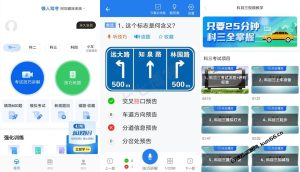安卓懒人驾考v2.10.1专业版-蛙言网