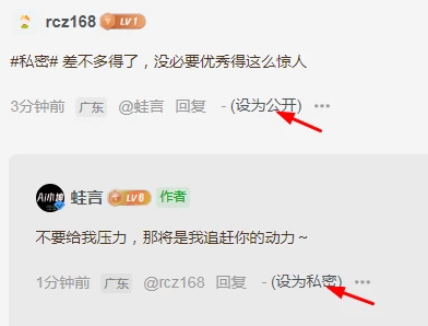 图片[3]-子比主题功能 – 评论区增加设置私密评论功能-蛙言网