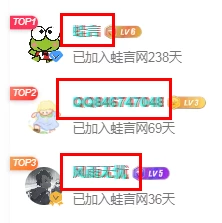 [子比主题美化]用户昵称抖音故障风格代码-蛙言小栈