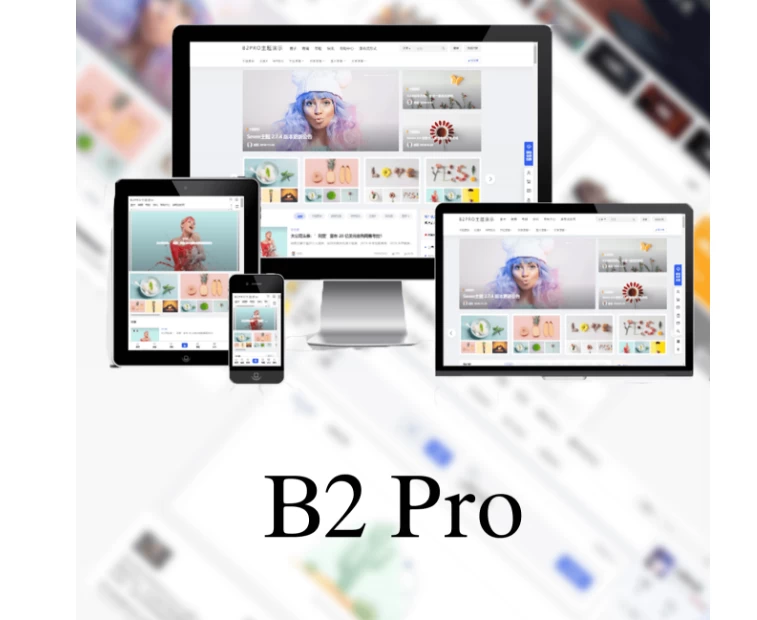 wordpress网站7B2 PRO主题5.4.2免授权不需要改 hosts直接安装版-蛙言小栈