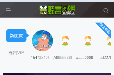 子比主题美化 – 展示注册用户+会员用户模块小工具-蛙言小栈